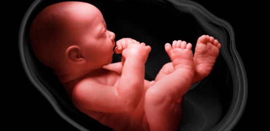 Es cierto que los genes son los que determinarán el nivel de inteligencia y la personalidad de tu bebé, pero un buen estilo de vida durante el embarazo pueden darle un empujoncito para que su cerebro se desarrolle mejor. A continuación te dejamos con siet